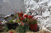 50-Myconos,10 luglio 2010